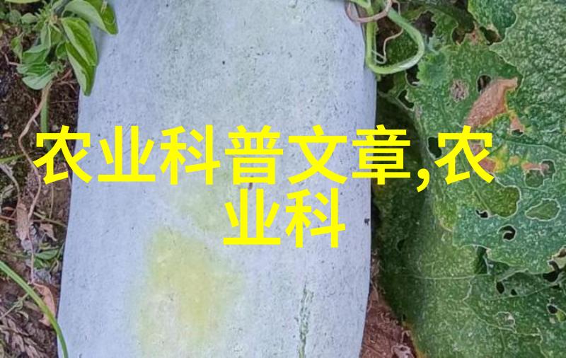 自然风光-丰收时节各种果实的种子的图片集