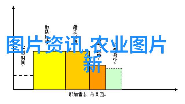 蛋鸡养殖技术-优化环境与提高产量的双赢之道