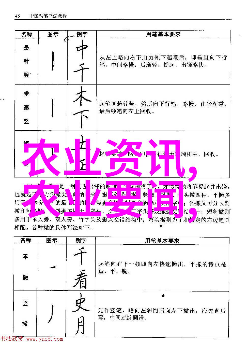 在白云山红叶银杏节即将开幕之际苗木行业的生意如何寻找客户的秘密又是怎样的让我们一起揭开这层迷雾