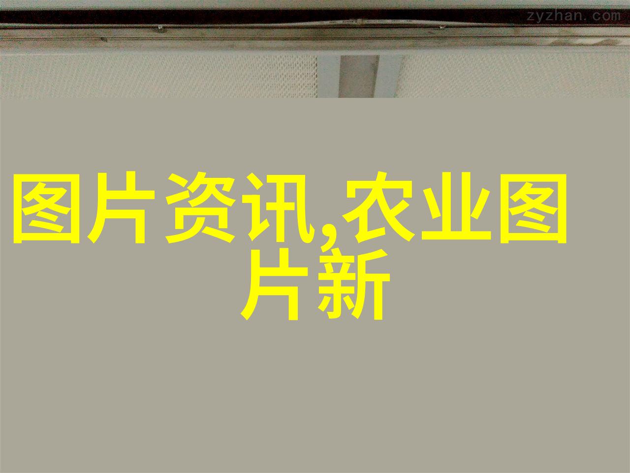 中国大学mooc中仔猪水肿病又该如何综合防治呢仔猪水肿病的辨证与防治方法你知道吗