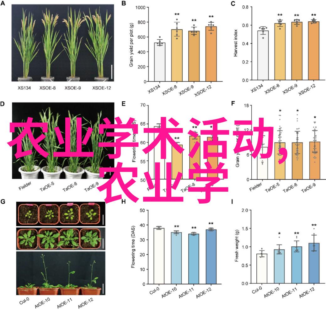 数字媒体技术专业大学排名我来告诉你哪些学校的数字媒体技术课程最火