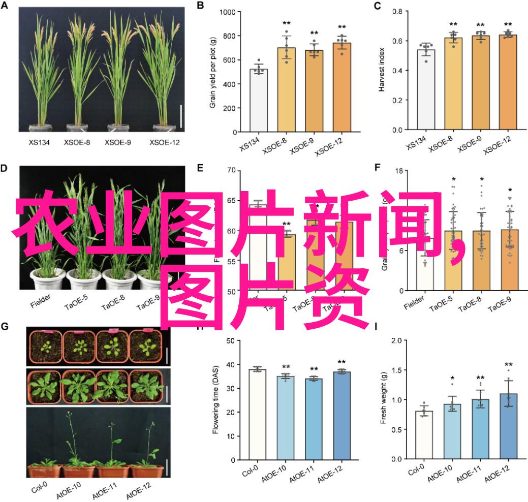 保护野生生物资源学会尊重自然界中的工作者