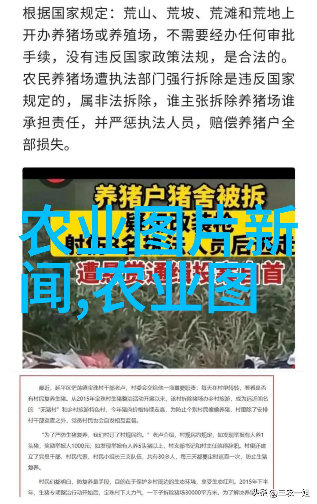 绿意盎然的岁月一位老放牛人的回忆录