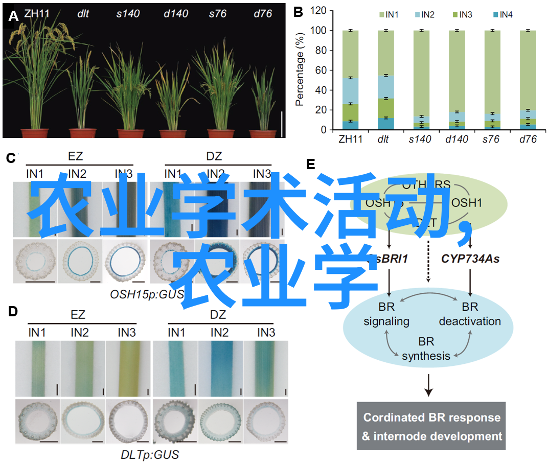 科学管理奶群减少多胎风险指南