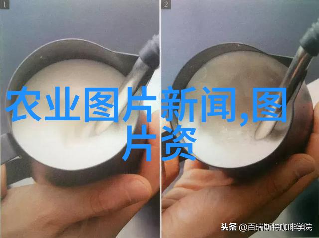 学长的鸡背一篇关于坐在家犬书桌上的写作经历