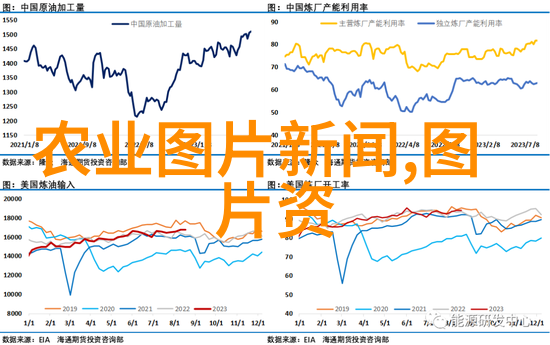 驱魔龙族之极品言灵师火焰与咒语的交响