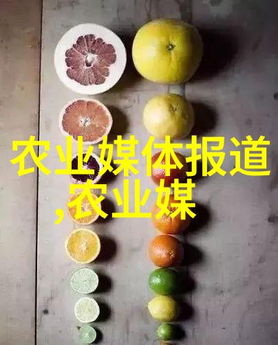 龙物8833号古秘境的守护者