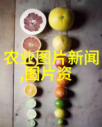 羊的养殖周期-从出生到成熟探索羊群的养殖周期与管理策略