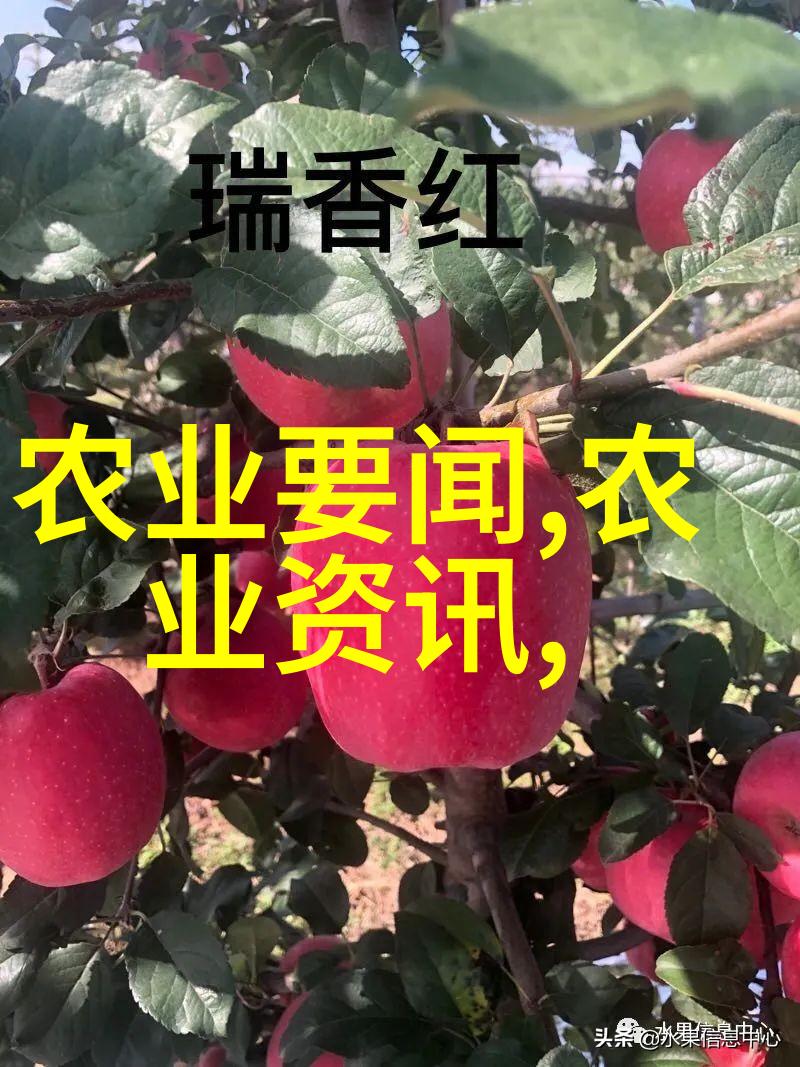 相亲2高清版我是怎么在直播间找到真爱的