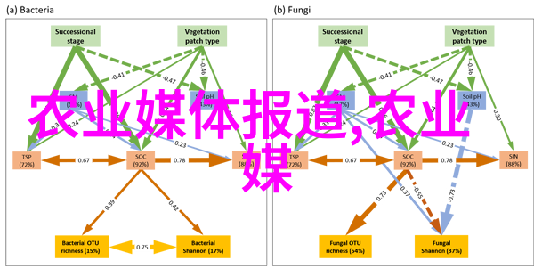 公交车上的意外碰撞一前一后的悲剧故事