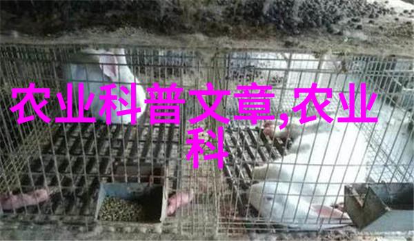 泥鳅工厂化养殖技术-高效益的水产革命深入浅出泥鳅工厂化养殖技术探究