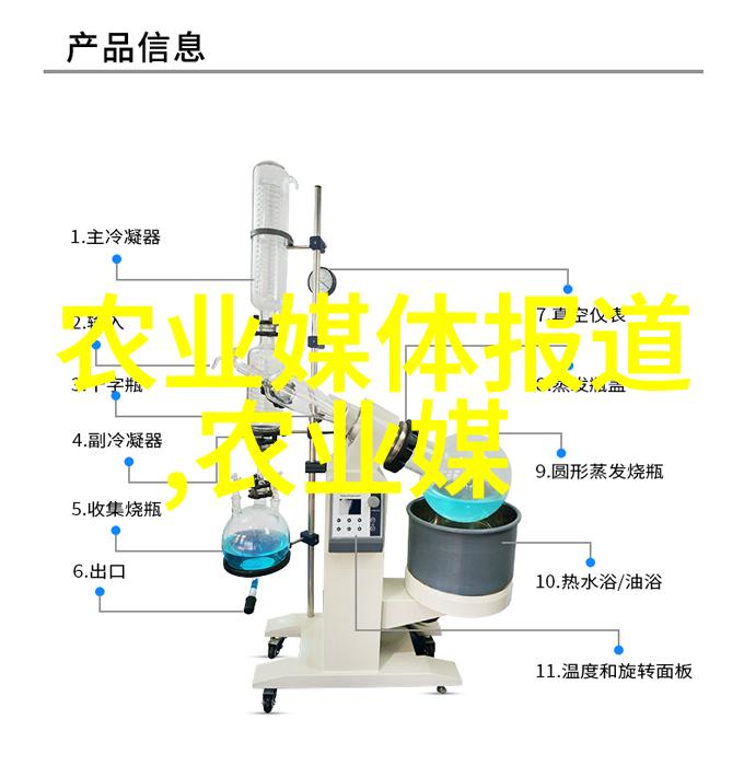 家乡味道的传递火腿肠与记忆的交织