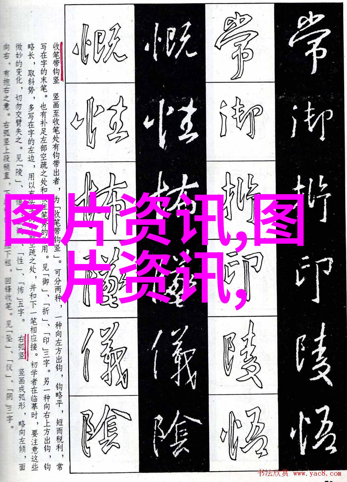 蜂蜜的香甜代价80一斤贵吗