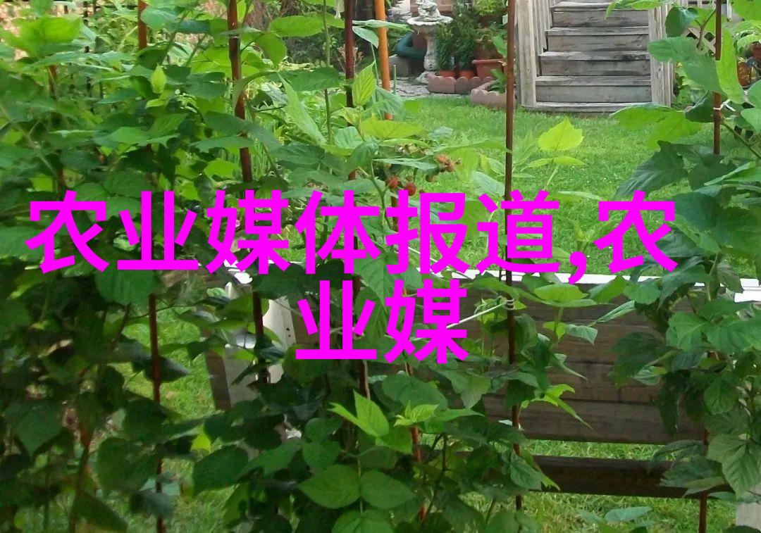 冬眠前准备如何为自家小院选购过winter的植物