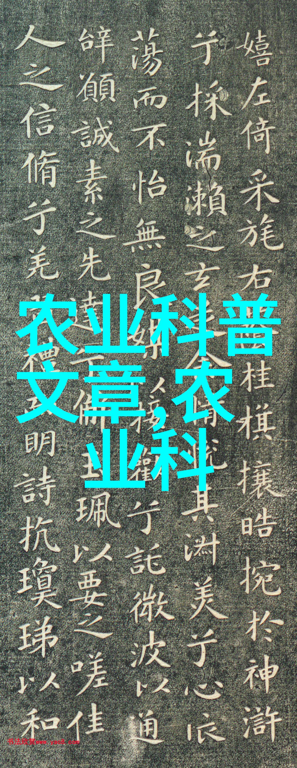 蝎子养殖技术全解析从基因选择到环境营造