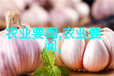 春意盎然的养殖新篇章2023年最具前景的农牧业投资项目