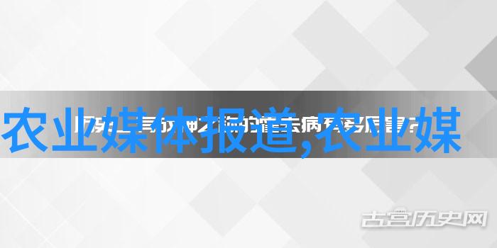 促进区域协调发展如何有效利用政策支持推动乡村振兴和城市圈建设