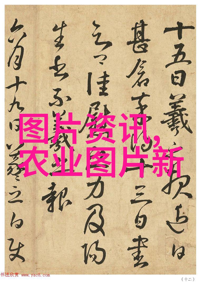 四川黄鳝饲料配方大全营养均衡健康成长