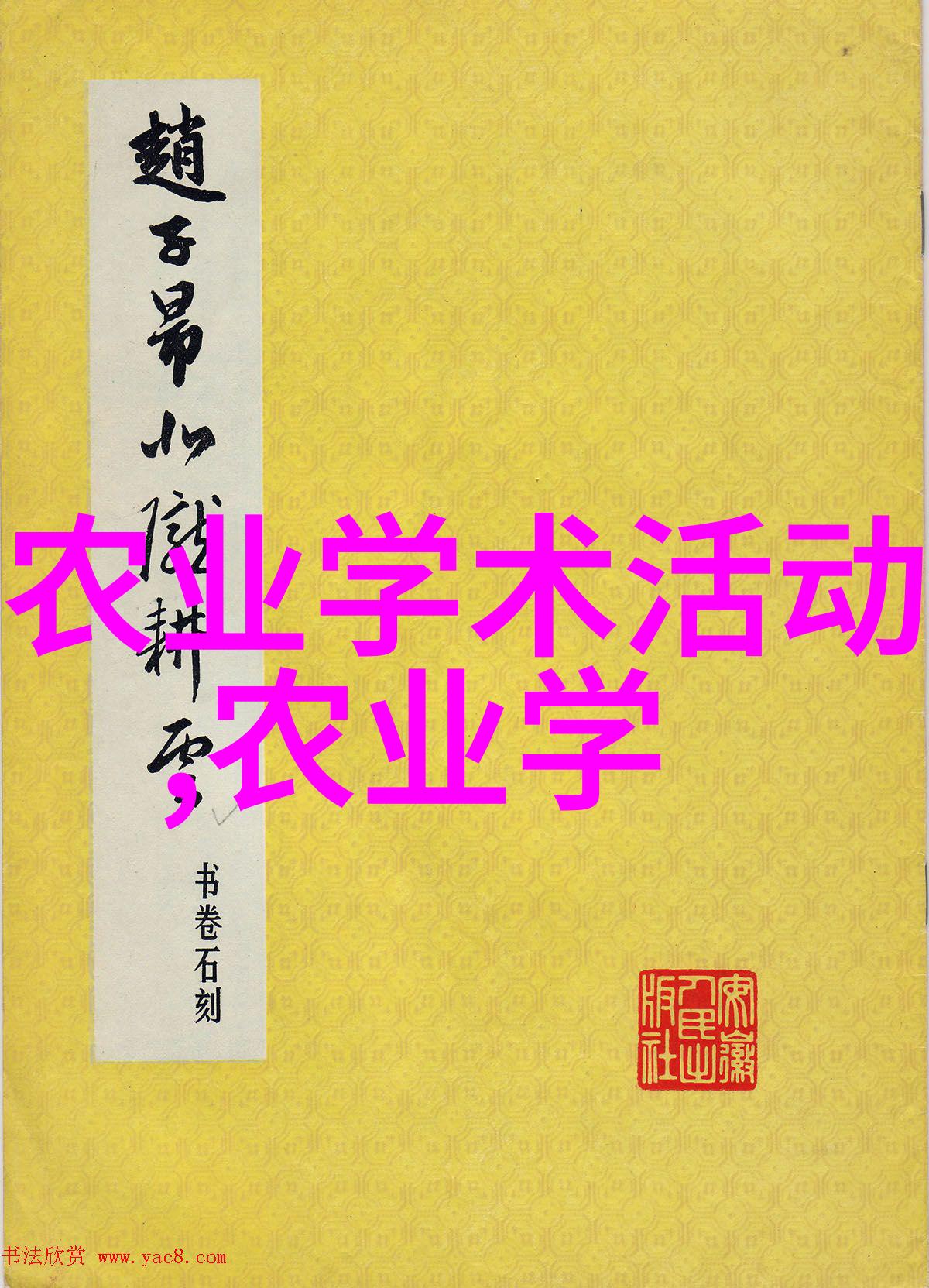 从树上到盘中了解一种稀缺的超级梨和它的珍贵种子