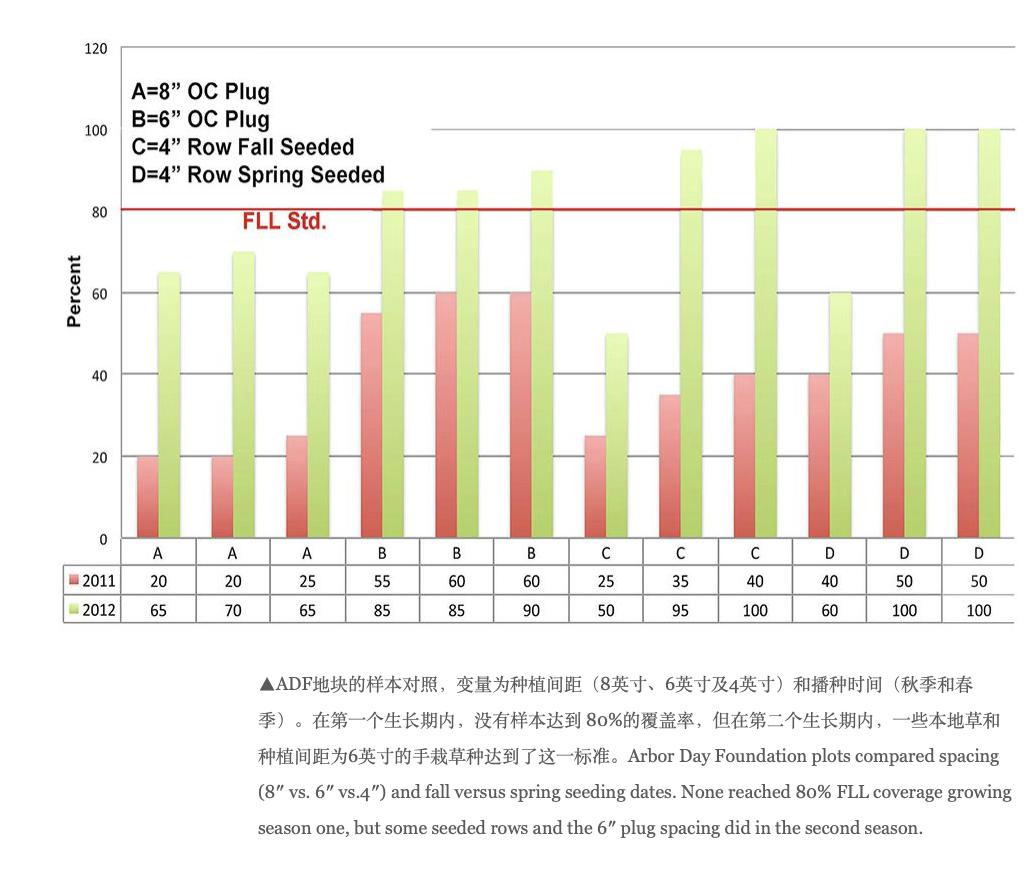 选择合适的白玉蜗牛种类专业养殖者的经验分享