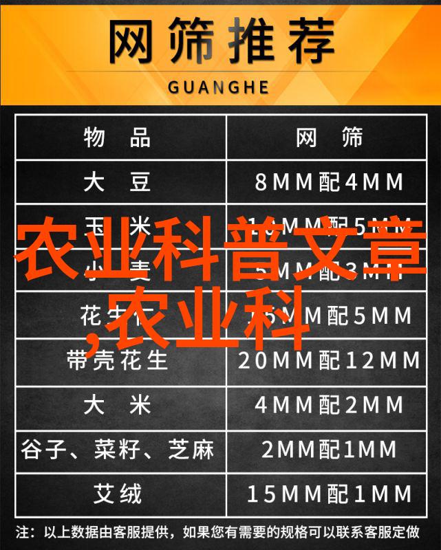 肉牛养殖技术-精益求精提升肉牛养殖效率与质量的关键技术