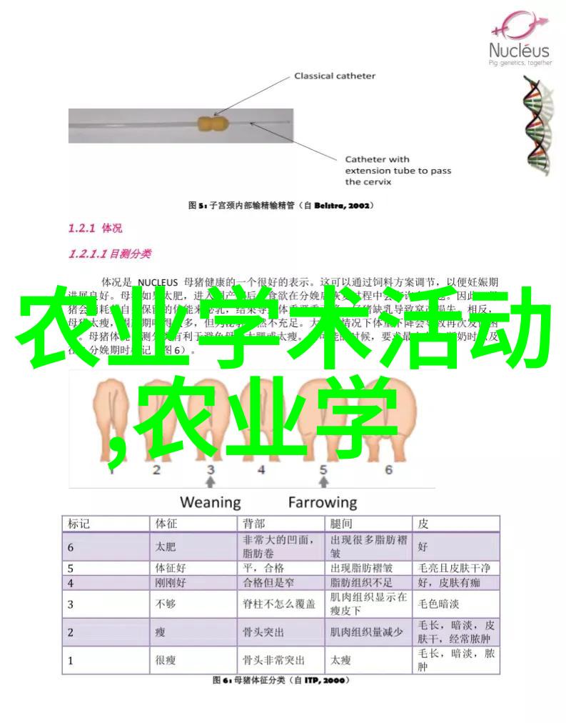 丰收未来的种植养殖宝典探索农村多元化发展项目