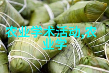 冬季养蜂技术和管理-守护蜜蜂温暖精准调控冬眠周期与食物供应