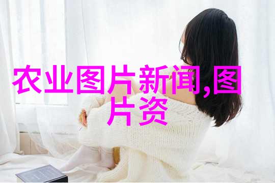 猪场管理与养殖实操技巧提升