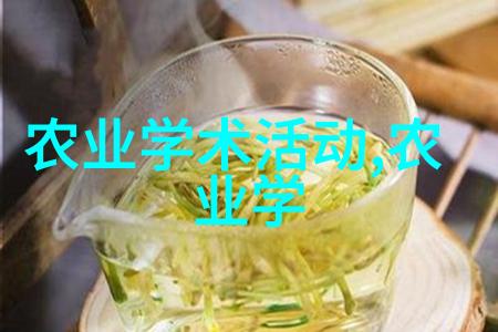 多年生草本植物与单株花卉相比哪个更适合初学者