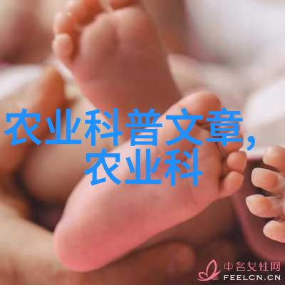 2023年养蜂补贴政策详解国家农业支持措施