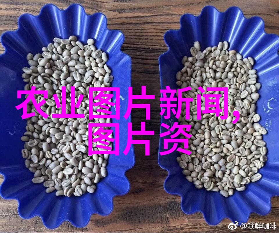 蚕豆种植绿色农业的选择