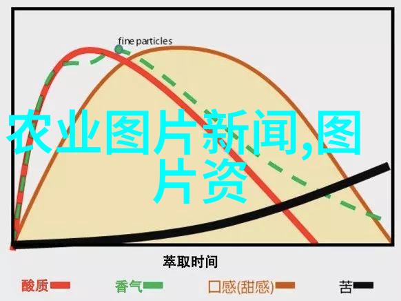 蜜蜂的品种有哪些我来告诉你这些忙碌的小家伙们有多么丰富的家族