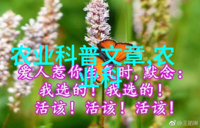 甜蜜家园一个温馨的故事