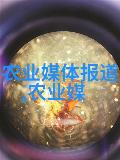 星海传说穿越时空的光辉航行