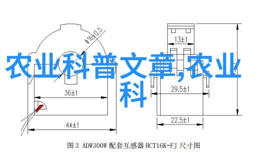 春天的绿意盎然探索蚕豆之美