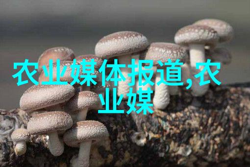 新养蜂技术视频我是如何用这套新法子把蜂箱从零到英雄的