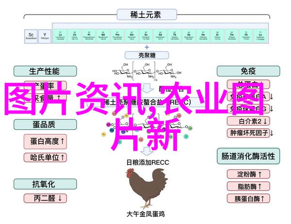 哪些因素会影响南美白对虾的生长速度和健康状况