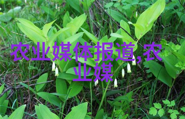 花海盛宴探索不同季节的多年生木本植物