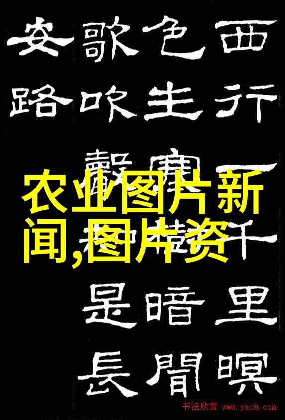 长沙雀园路书香路新植法桐树常见绿化苗木品种交相辉映