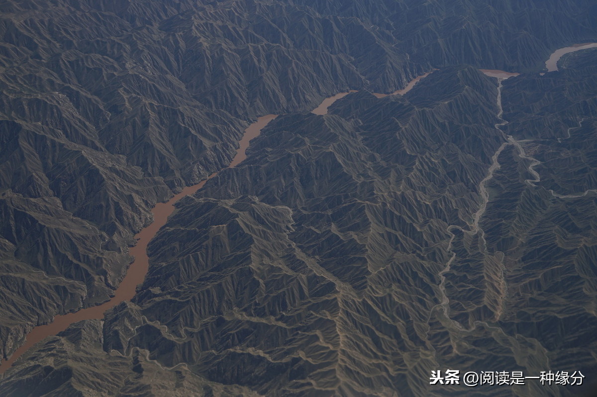 海洋之冠龙虾养殖的艺术与科学