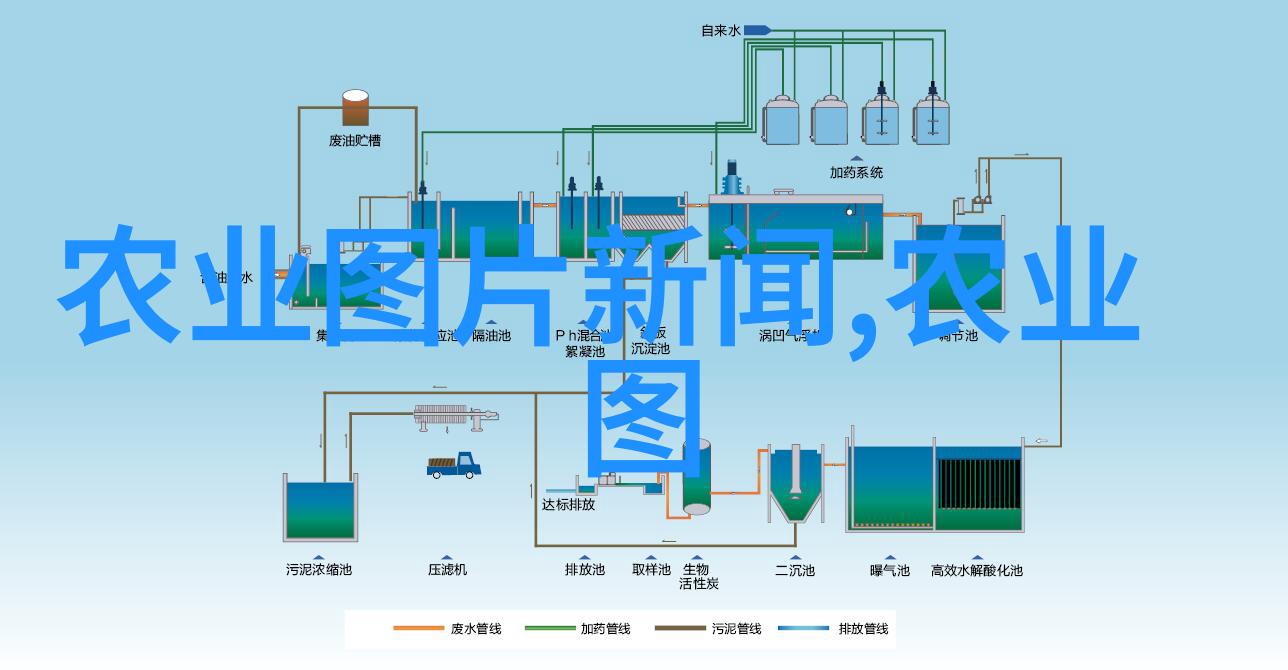 月光追逐者在岸边等待