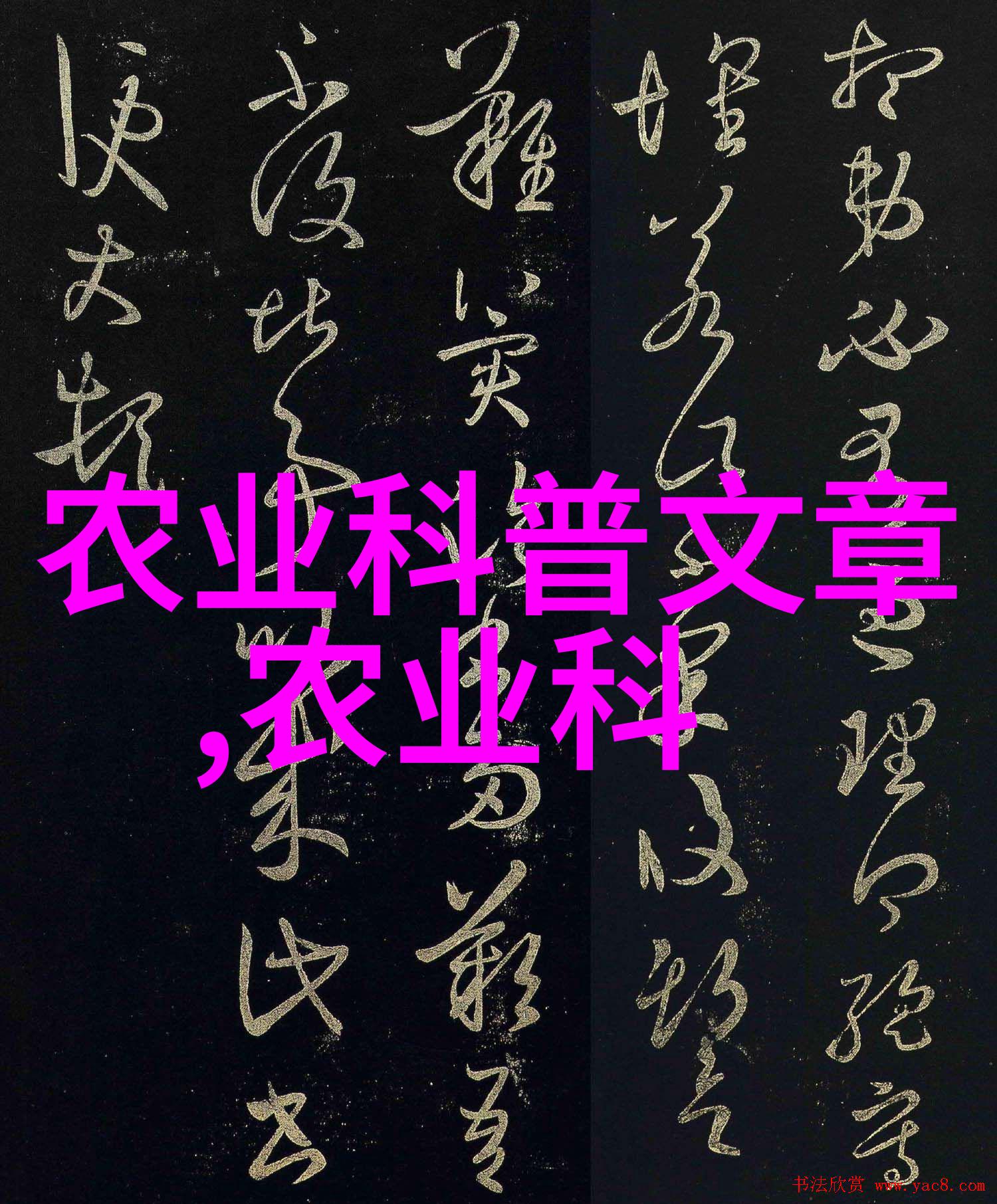 主题我来教你怎么养蟹爪兰不然这花可就要变成你的宿敌了