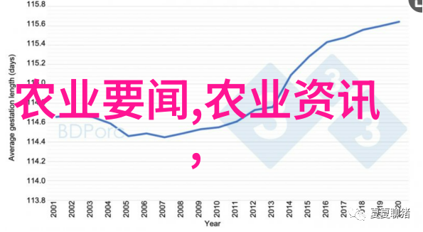 养殖什么挣钱最快高效牲畜选择