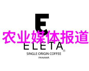 富民蔬菜种植基地绿色生态的丰收盛宴