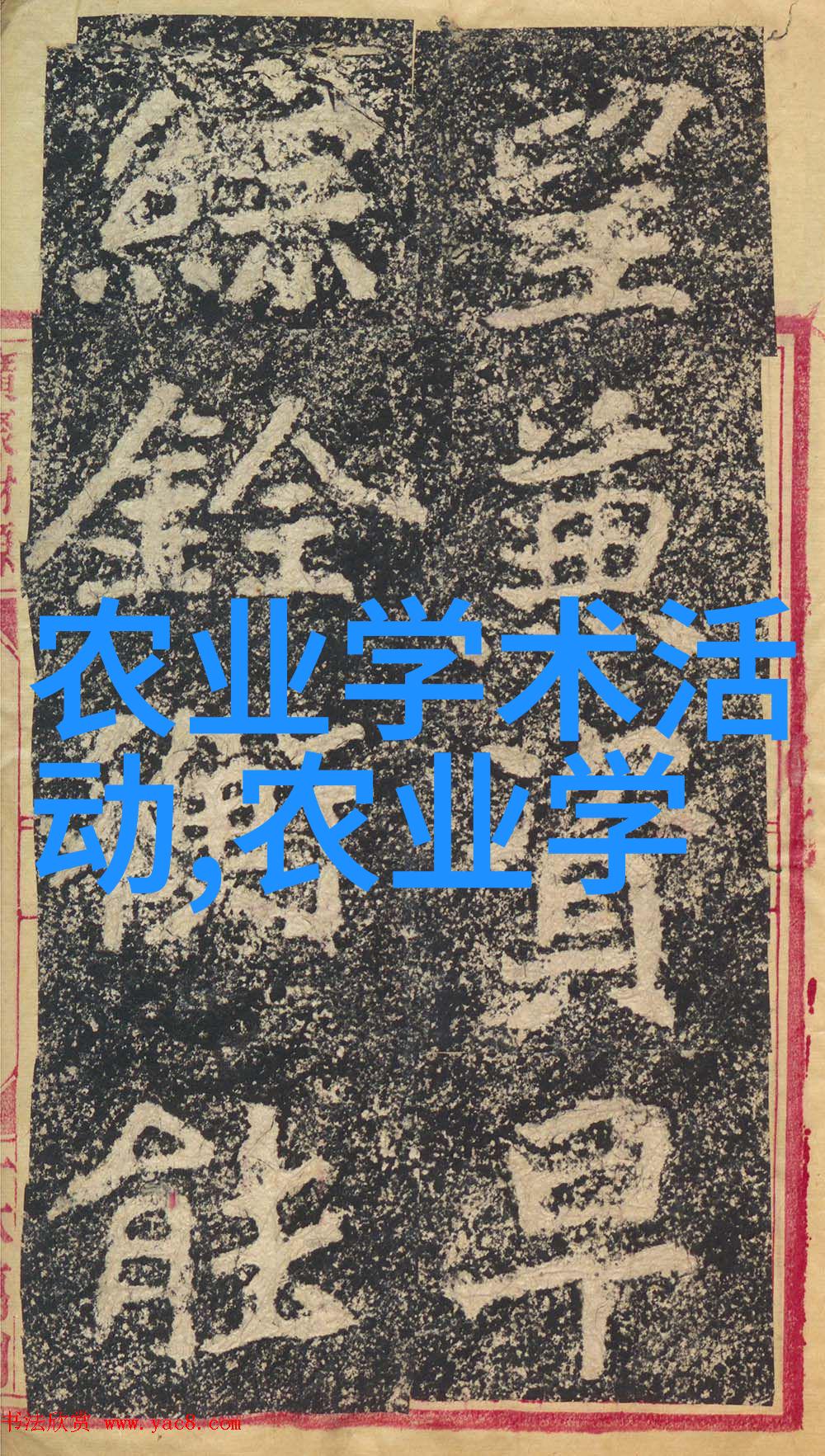 猪肉市场最新动态今日猪价行情分析与预测