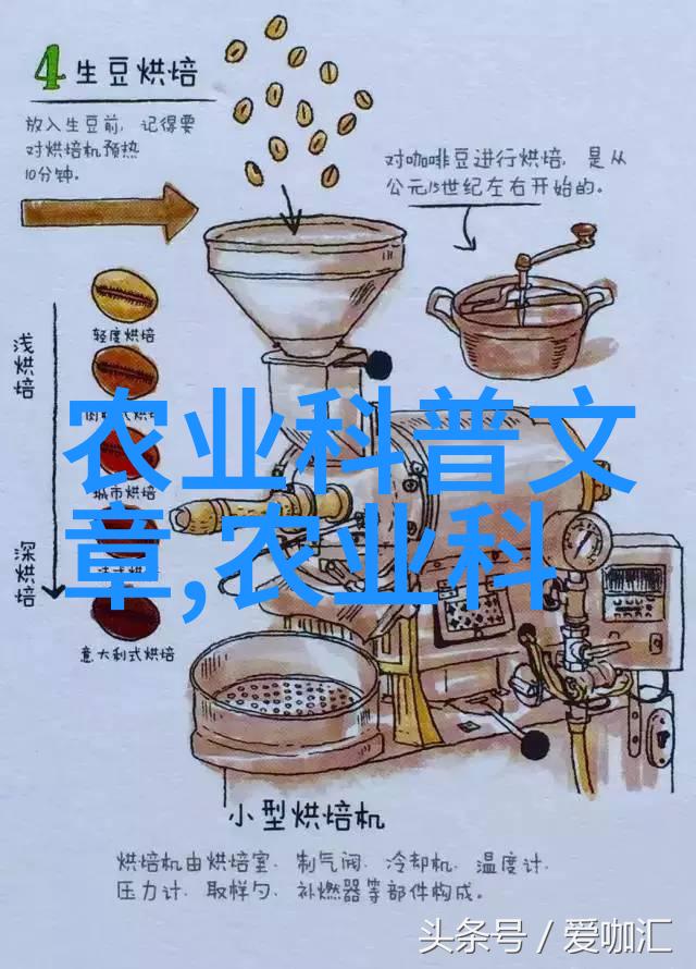 我的花园梦想各种花卉种子价格比较大揭秘