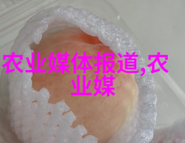 菌类美食的艺术与科技探索新时代的餐桌奇迹