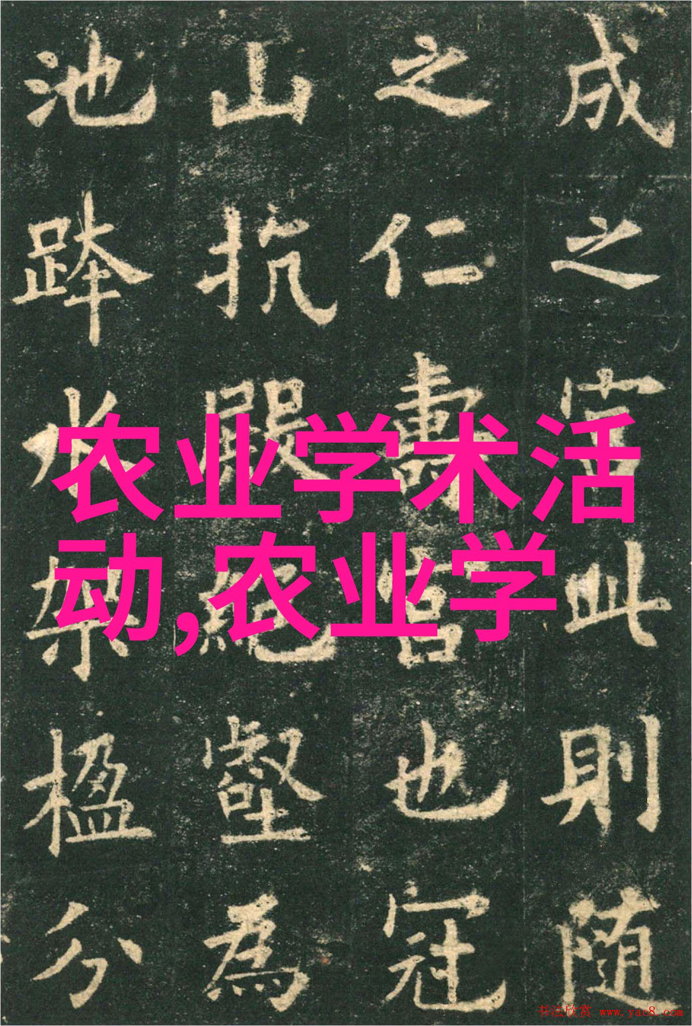 石蛙养殖技术我是如何把石蛙从小伙伴变成大财源的