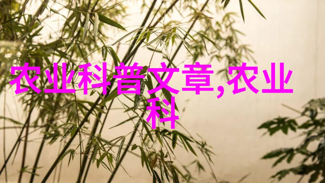 视频里的债务问题宝贝的C账单和未来的财务规划