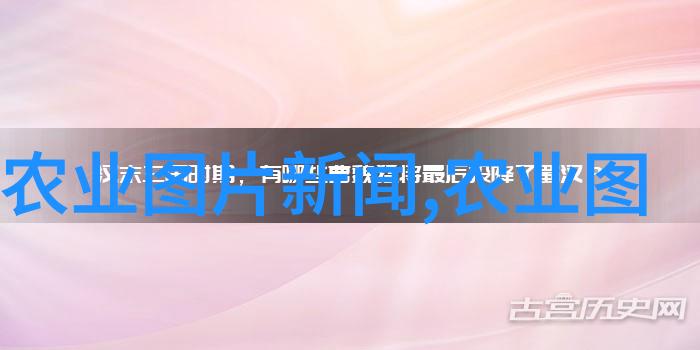 教师法我是如何用点拨和引导让学生爱上学习的